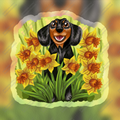 Dachshund in Daffodils Holographic Sticker