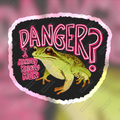 Danger Frog Holographic Sticker