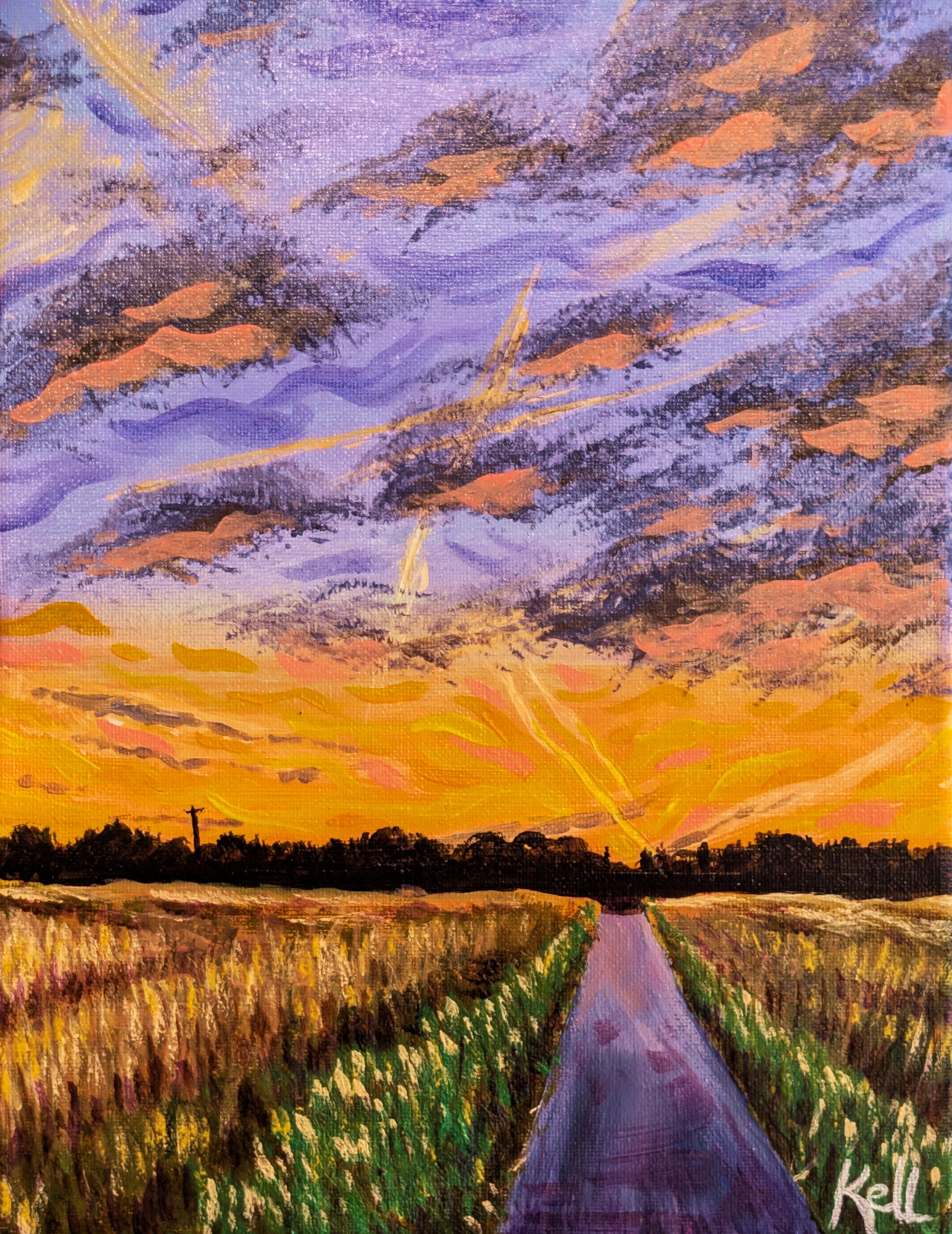 Evening Over Wheat Fields