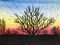 Sunset in March - 15x20 Lino Print