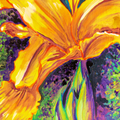 Yellow Flag Iris