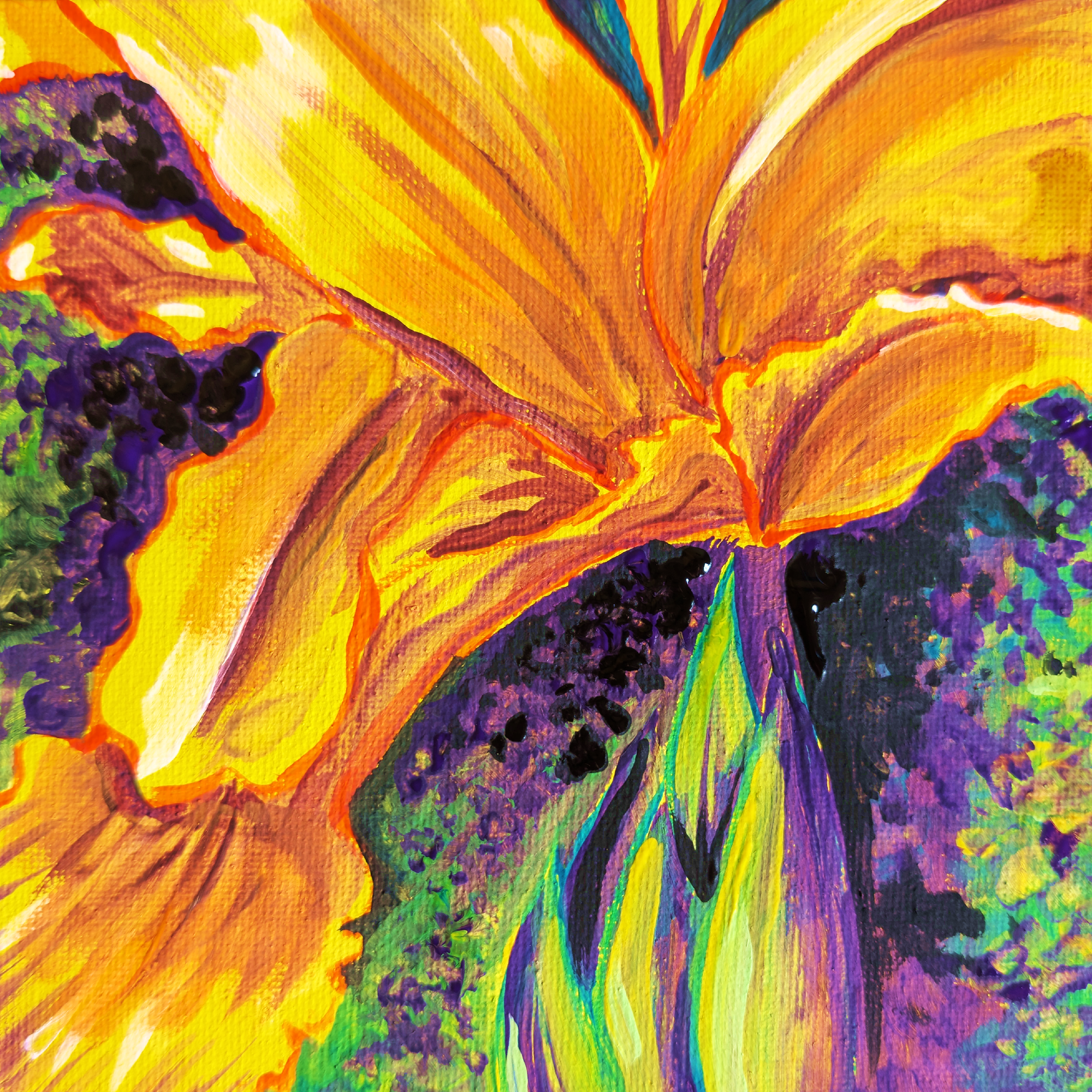 Yellow Flag Iris